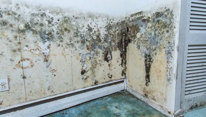 Professional mold removal, odor control, and water damage restoration service in Deerfield Beach, Florida.