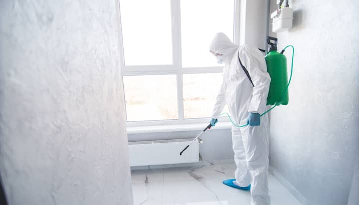 We provide the highest-quality mold inspection, testing, and removal services in the Deerfield Beach, Florida area.